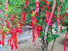 -七仙岭温泉国家森林公园