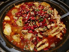 麻辣鸡爪牛蛙锅-蛙三泡椒牛蛙(万象城店)