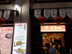 -老通城豆皮大王(吉庆街店)