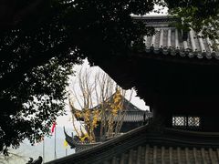 -东明山森林公园