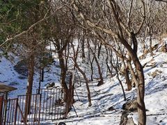 -妙峰山风景名胜区