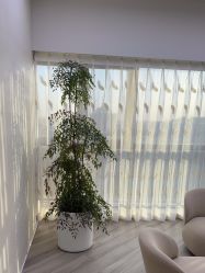 -HEYAN荷妍专业脱毛连锁机构