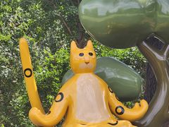 -北京西山国家森林公园