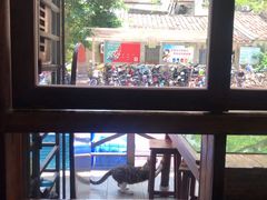 -一锅厨东北水饺店(厦大店)