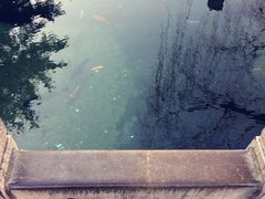 -百脉泉景区