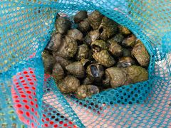 -前小桔亲子创意农场·草莓采摘·露营烧烤