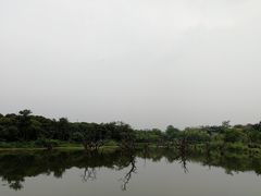 -鹤之洲湿地公园