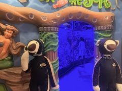 -济州岛泰迪熊博物馆