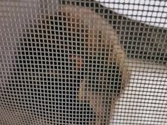-中农国际动物医院24小时·猫科·骨科·急重症中心