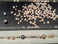 -十八字金·银饰·开蚌DIY·手工体验团建(富力广场店)