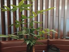 -常州奔牛国际机场