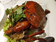 -新加坡海鲜共和(名胜世界圣淘沙海滨坊)