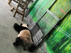 -临沂动植物园