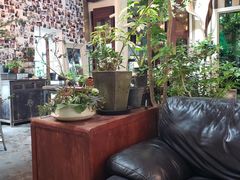-植觉