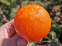 -青州市云门山风景区