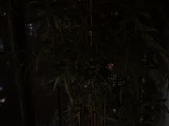 -上足·影院足道·SPA(红岭店)