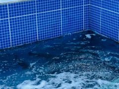 -北京龙庆四季香农家饭庄·灶台鱼·碳烤虹鳟鱼(龙庆峡店)