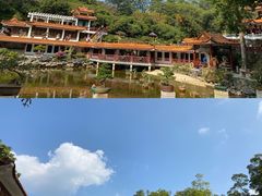 -深圳市中科院仙湖植物园