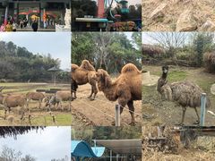 -宁波野生动物园