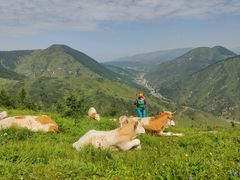 -五台山风景名胜区