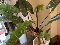 -湖锦酒楼·30年经典湖北菜(沌口店)