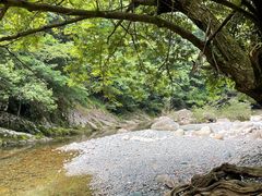 -鄣山大峡谷