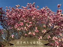 -洛阳市隋唐城遗址植物园