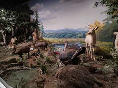 -陕西自然博物馆