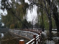 -迎泽公园