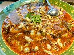 -光海·乡记酸菜鱼·始于1996(花园路店)