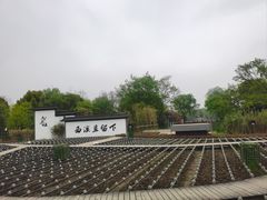 -西溪国家湿地公园