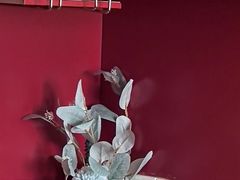 -海底捞火锅(威高广场店)
