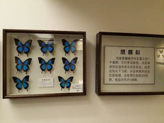 android_upload_pic-上海大自然野生昆虫馆