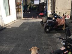 -大理床单厂艺术区