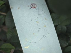 -31号公馆(黄兴广场白果园店)