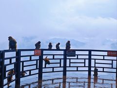 -重庆云阳龙缸景区