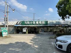 -马陆小张葡萄园农家乐