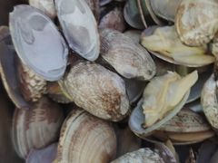 -食神鱼头佛跳墙(百子湾旗舰店)