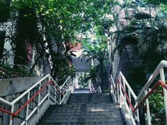 -香港大学