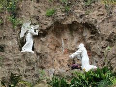 -上海佘山国家森林公园西佘山园