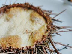 -宾朋海鲜饭庄(兴海路店)