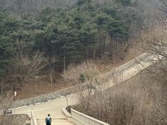 -北京西山国家森林公园