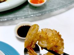 鲜虾粉丝煲-湛江菜.江南首席(昆山店)