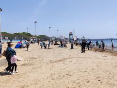 -碧海金沙