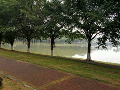 -佛山祈福仙湖酒店