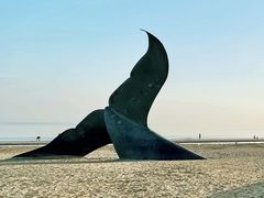 -烟台金沙滩海滨公园