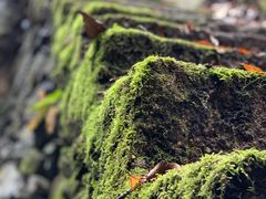 景点-藏龙百瀑风景区