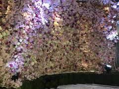 -宝岛甲壳虫KTV(蓝天路店)
