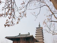 -正定古城-开元寺