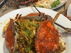 -Red Lobster